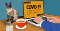 COVID-19 Work from Home Quarantine Image by thedarknut from Pixabay 