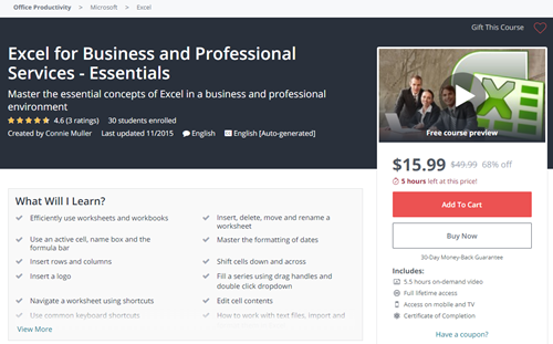 Udemy Excel for Business course