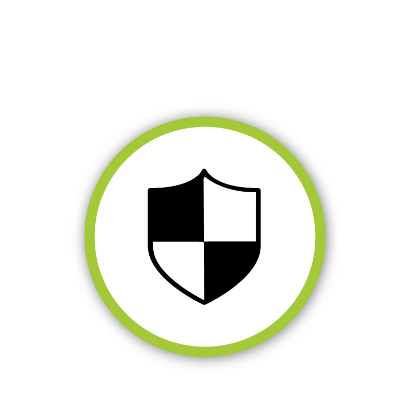 icon of a shield